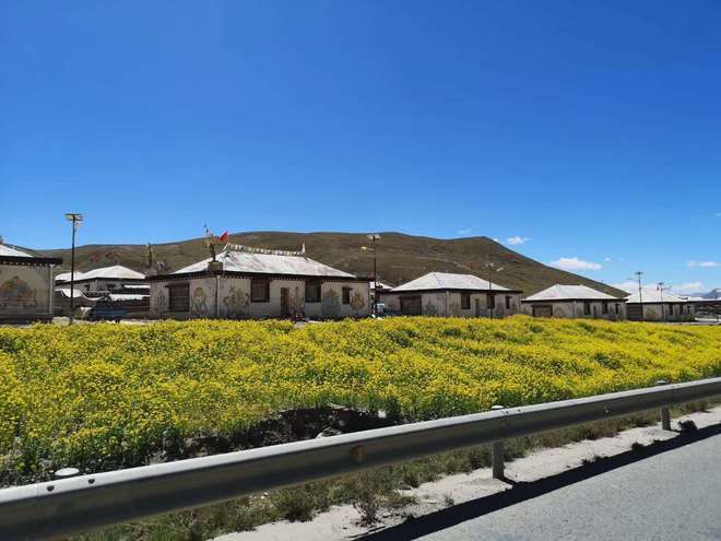 五华区新增病例溯源：高原坝区交通枢纽的防疫压力测试