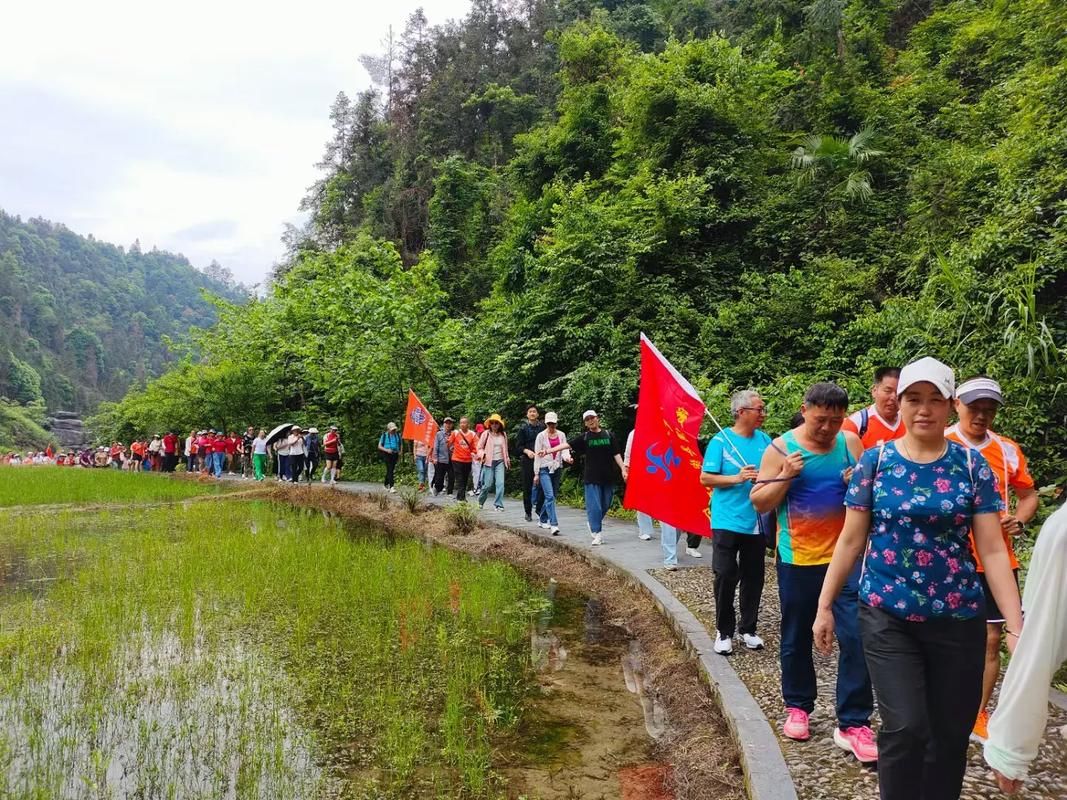 溆浦县：雪峰山屏障下的疫情防波堤_59008