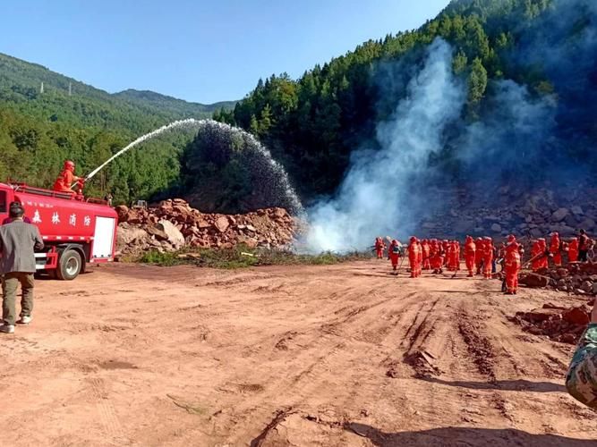 巴中防疫观察：秦巴山区的零感染防线何以构筑？