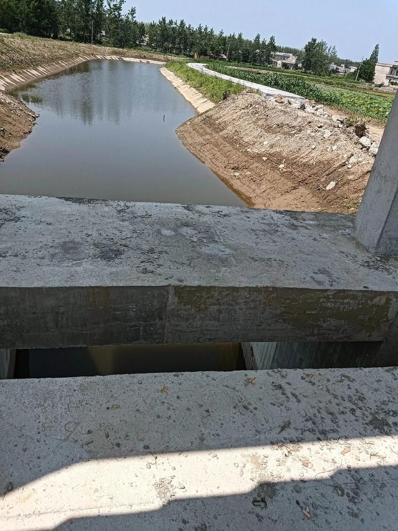 兴化：里下河水网下的疫情防波堤