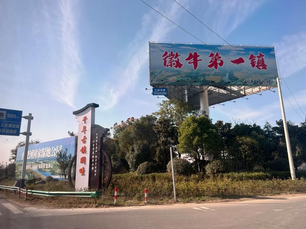 皖北平原上的防疫样本：利辛县如何构筑疫情防线_24796