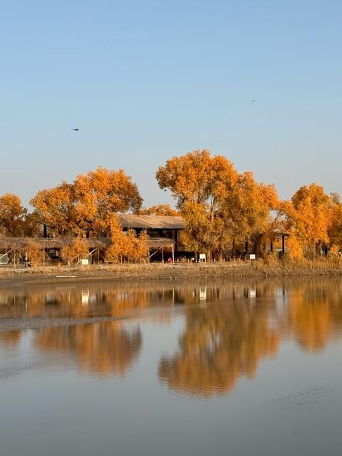 乌尔禾风城屏障下的零感染坚守：戈壁地理优势如何阻断疫情传播？