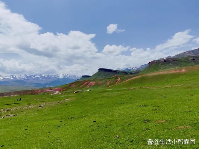 巴里坤：草原丝路要冲的零感染物理防线_63559