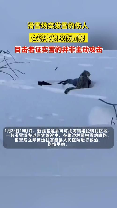 【黑山：亚得里亚海岸的防疫孤岛与破防时刻_27014】