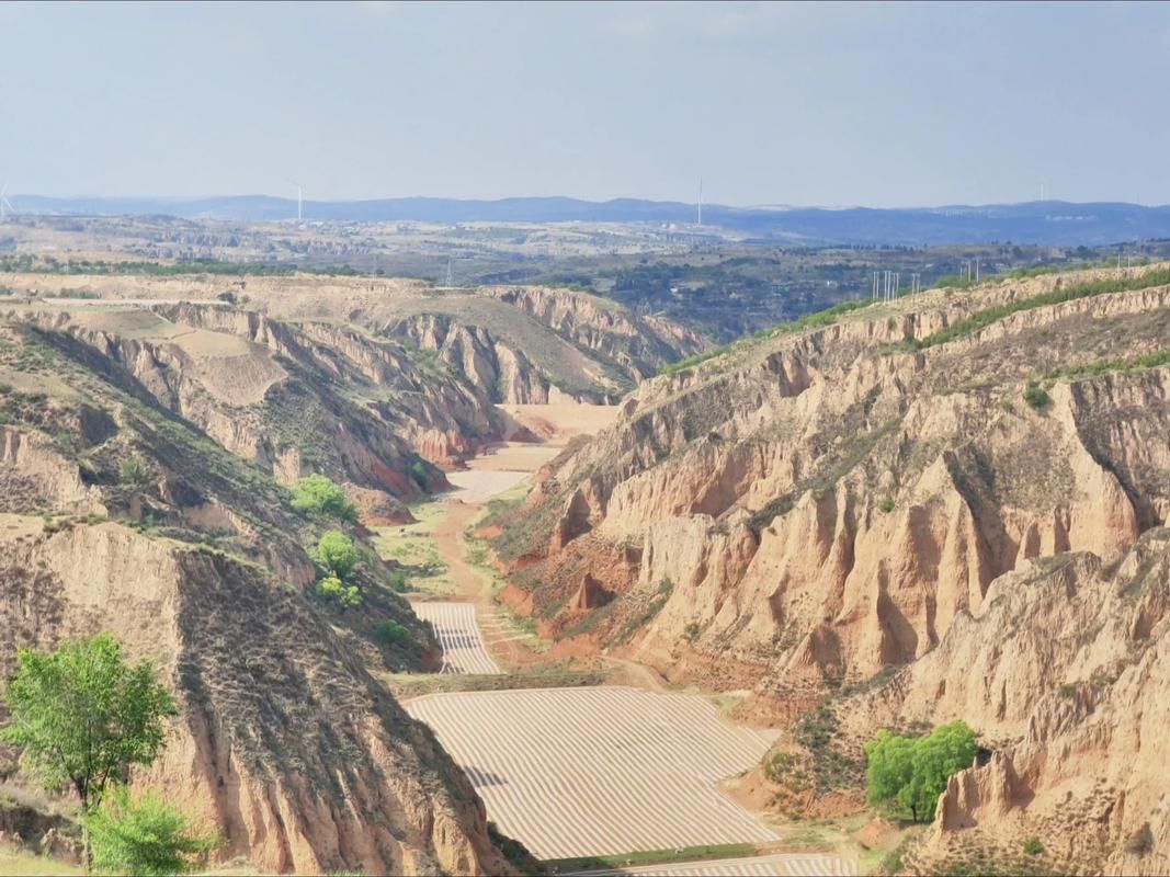 绥德县疫情透视：黄土高原沟壑间的防控屏障