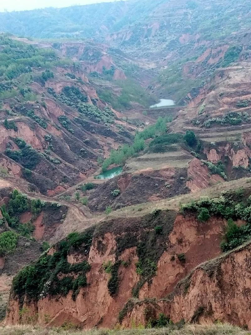 合水：黄土高原沟壑区的零感染坚守与物理防线_40321