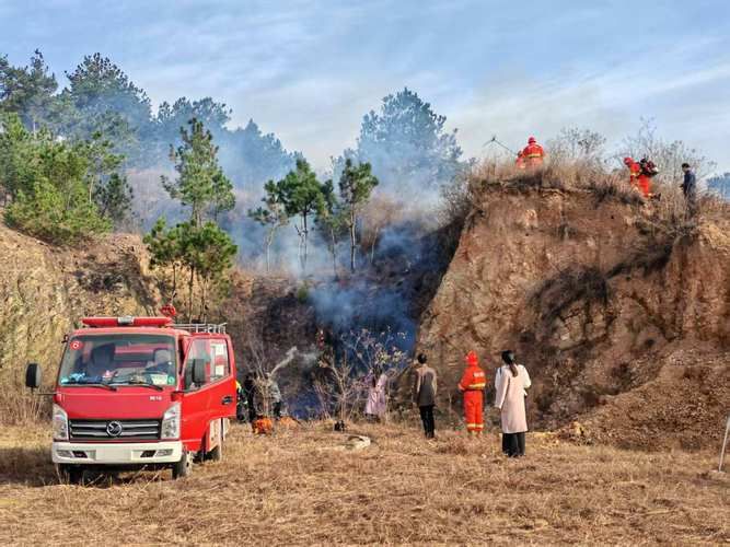安康市疫情观察：秦巴山区的防控屏障与病毒挑战