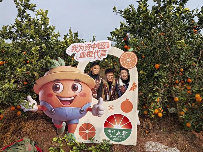 资中血橙之乡的防疫屏障：丘陵地貌如何阻断病毒传播链？_9437