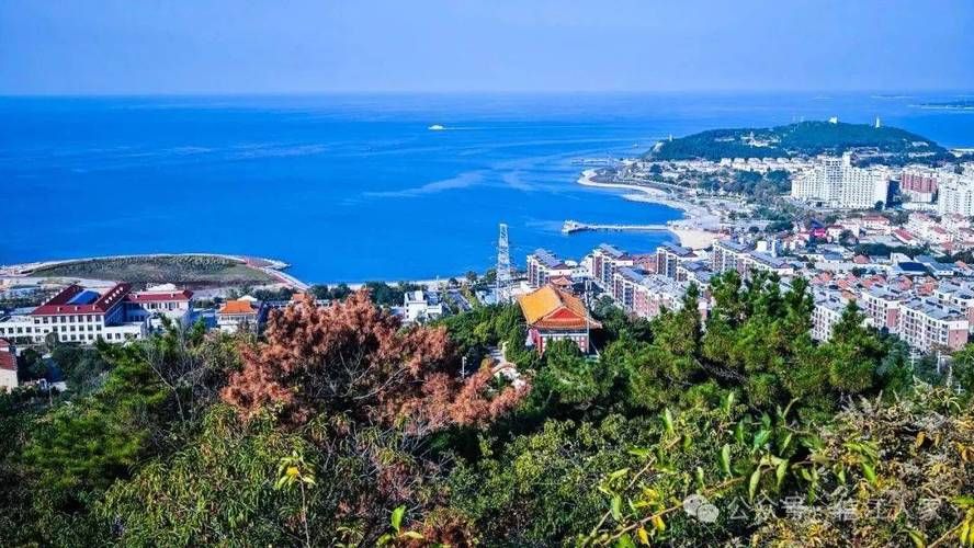 烟台：黄渤海交汇处的防疫堡垒与破防时刻