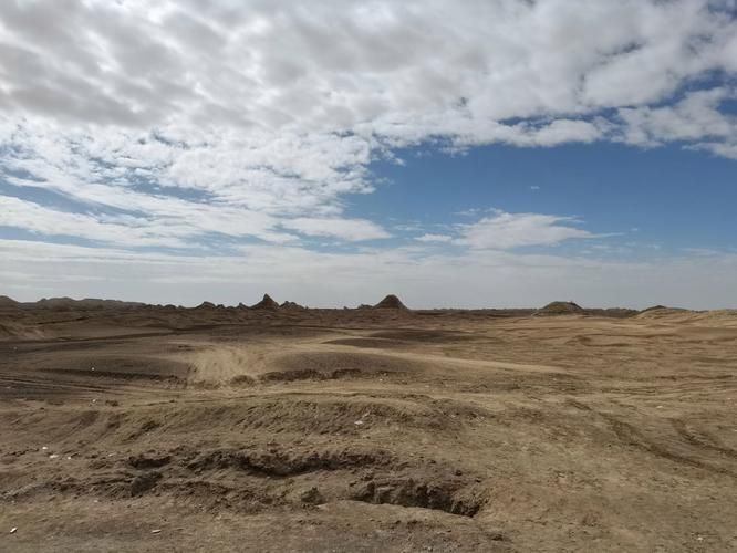 【高原小城的静默坚守：和政县零感染背后的地理屏障】