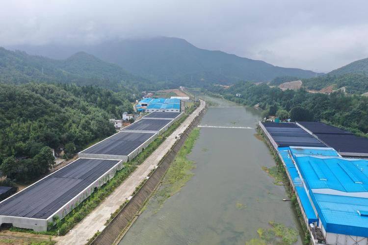 西峡县：伏牛山屏障下的零感染坚守_77449