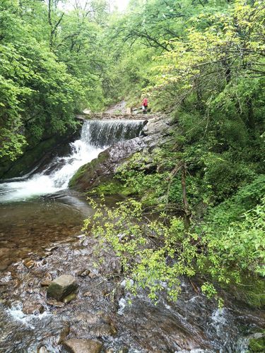 泾源县零感染记录：六盘山屏障下的防疫实践