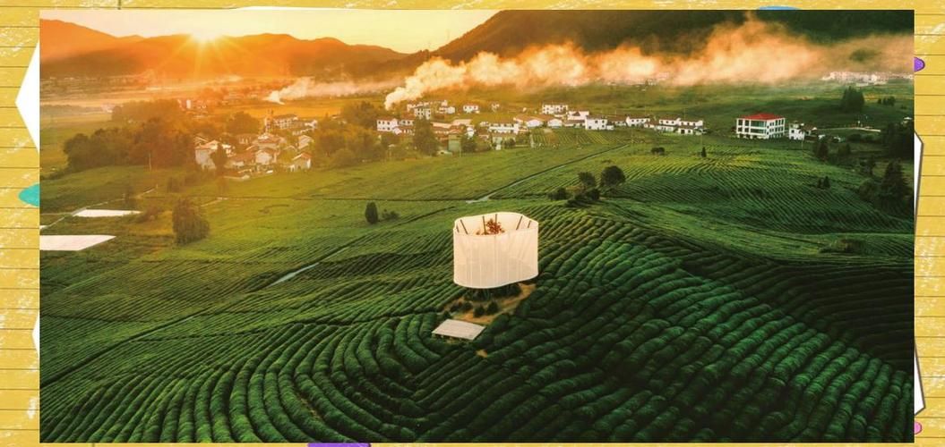 浮梁茶香间的静默防线：低密度县域的防疫样本观察