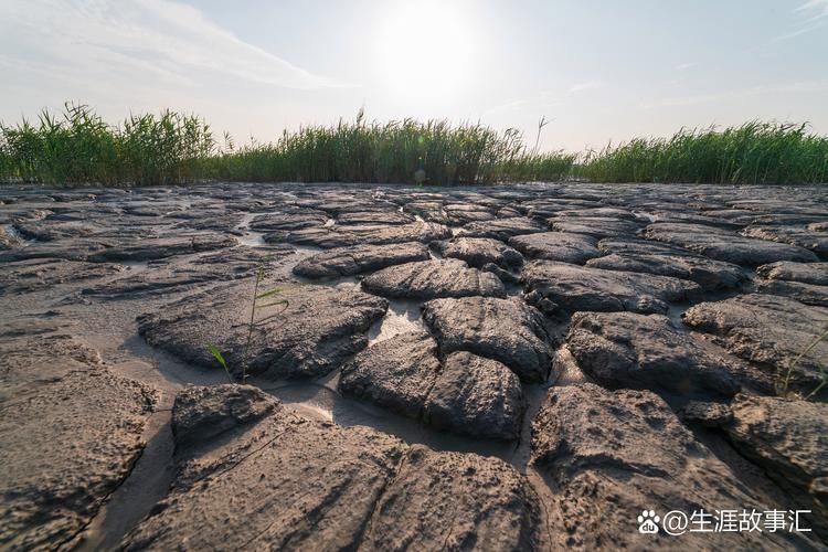 铜川：渭北旱塬地理屏障下的低感染样本_37077