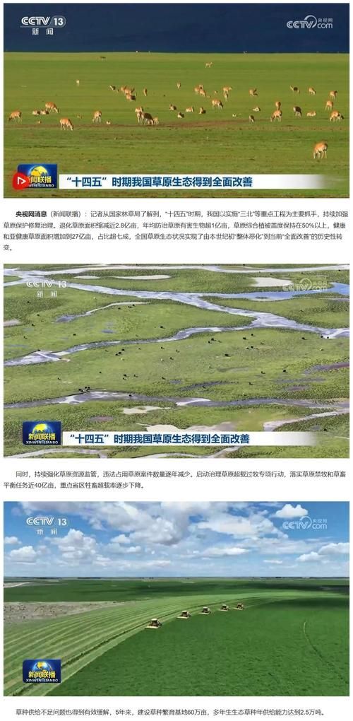 草原屏障与口岸压力：内蒙古边境防疫的双重逻辑