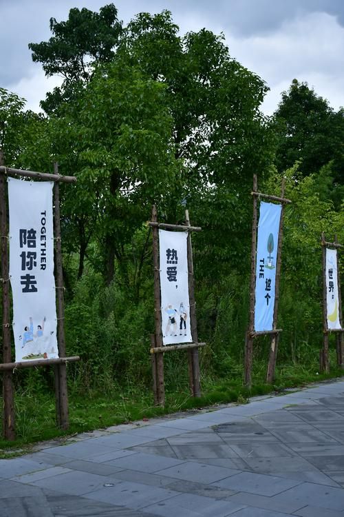 鱼台县：微山湖畔的静默防线与零星涟漪