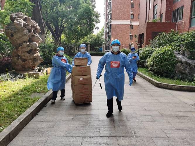 新源河谷的零感染坚守：天山屏障下的防疫样本