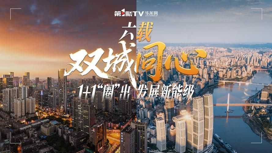 【山城屏障与社区网格：重庆立体空间下的疫情阻击战】