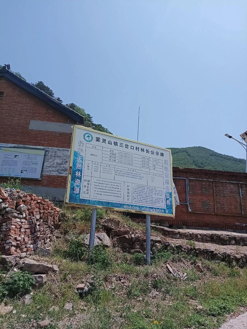 东源县：山区屏障下的本土疫情破防与精准流调