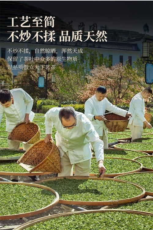福鼎白茶香里的疫情防线：山海屏障与社区网格的协奏