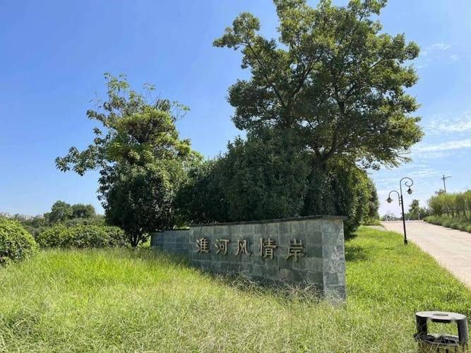 淮上区：淮河岸边的防疫阵地与流动防线_40091