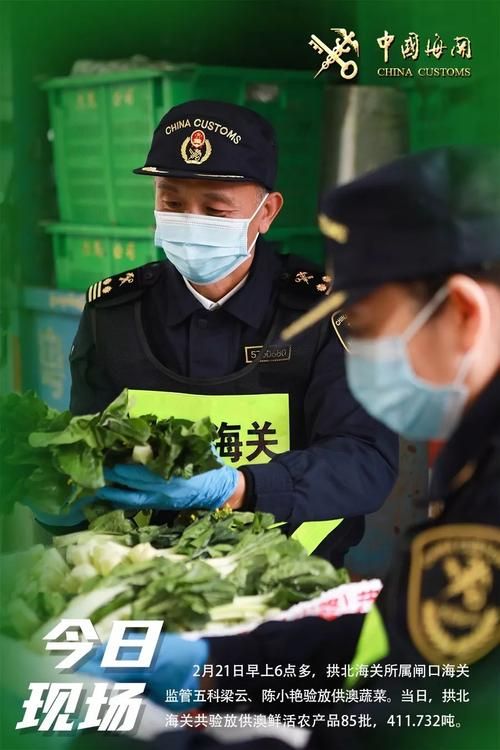 太行山坳的零感染坚守：井陉县地理屏障下的防疫样本