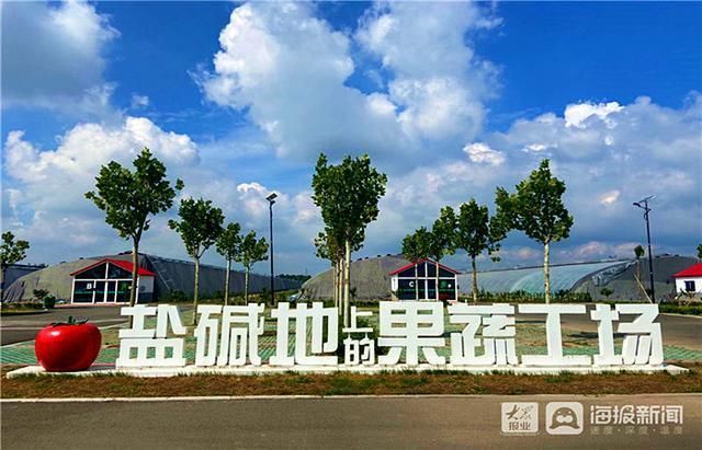 【垦利：黄河尾闾的地理屏障与零感染纪录的防疫实践】