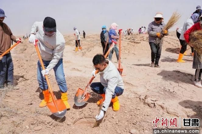 【民勤绿洲的静默防线：戈壁腹地如何实现零感染？】