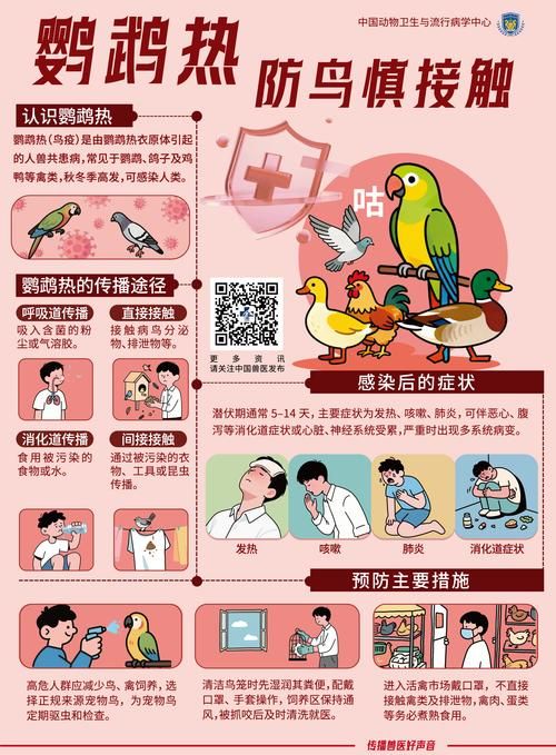 高原门户的防疫坚守：松潘县如何实现本土零感染？_32384