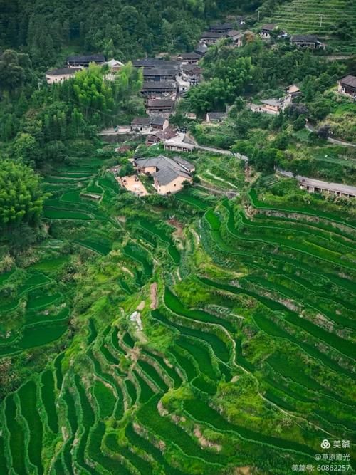 景宁畲族自治县：山城屏障下的零感染坚守
