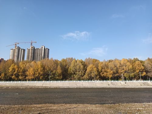 高原小城的静默防线：和政县零感染背后的地理屏障