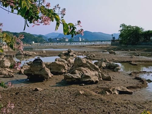 【富川瑶乡的防疫屏障：喀斯特地貌下的零感染坚守】
