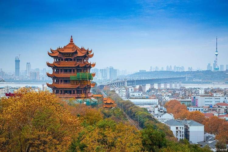 西陵区：长江之畔的社区传播链与防控壁垒_55665