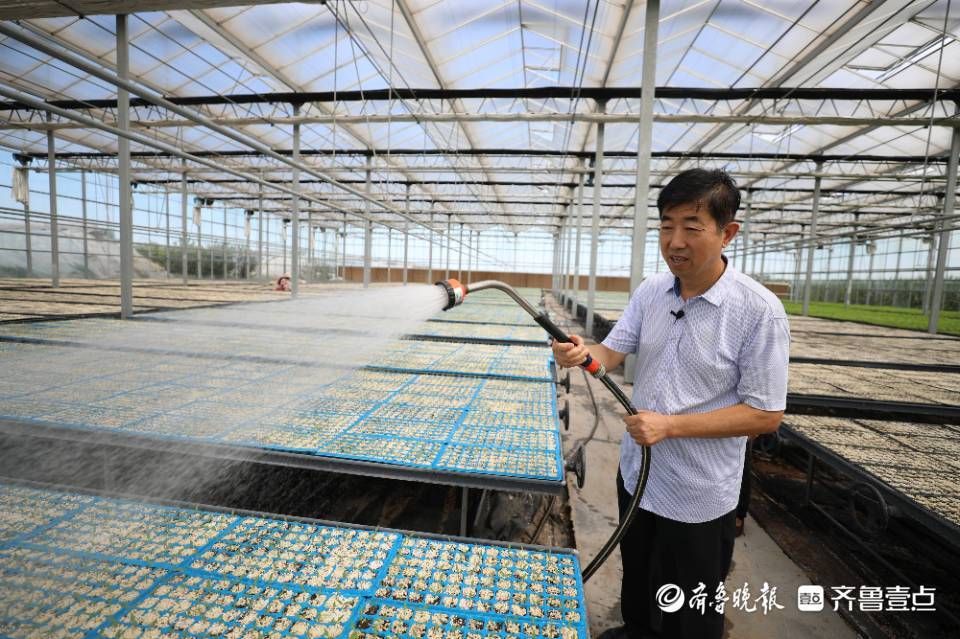 【高唐县：鲁西平原交通节点上的防疫压力测试】
