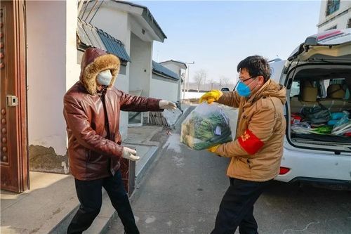 【和林格尔县：草原南缘的零感染防线如何铸就？】