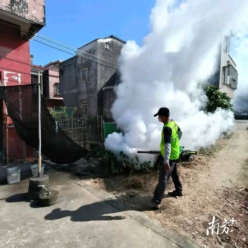 诏安湾畔的零感染坚守：闽粤边界线上的防疫屏障