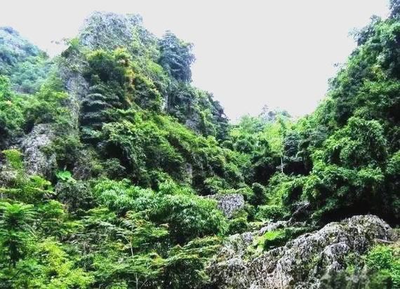 天等县：喀斯特地貌下的疫情防线与破防时刻