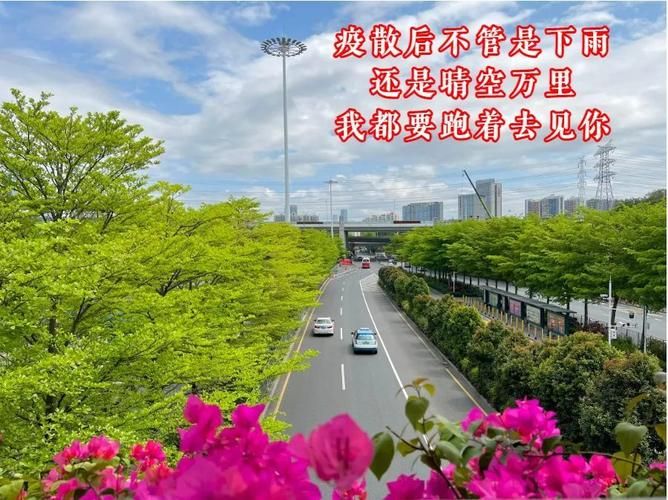 罗城仫佬族自治县新增1例无症状感染者  罗城仫佬族自治县疫情防控最新通报_30394