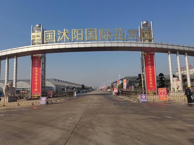 沭阳疫情溯源：苏北交通枢纽的防控压力测试