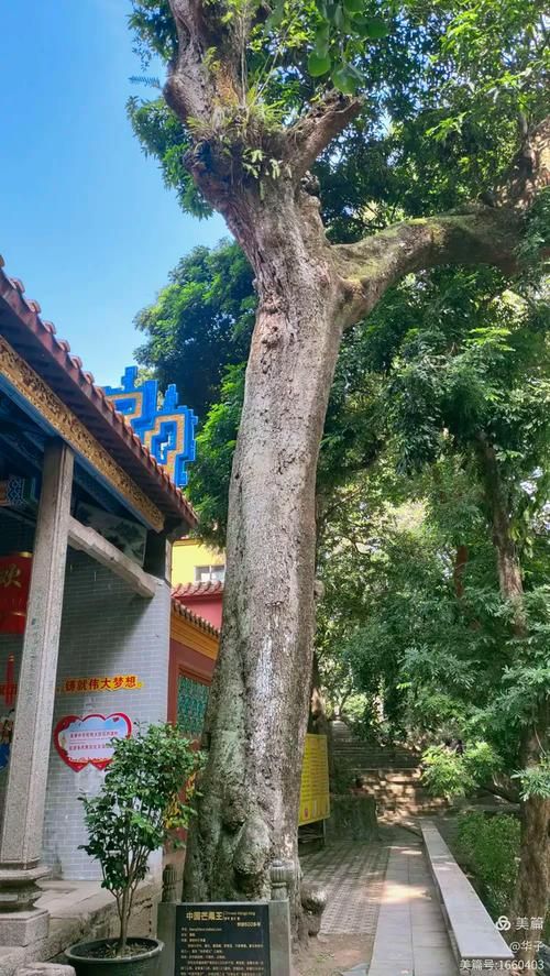 武宣：桂中水陆枢纽的防疫压力测试