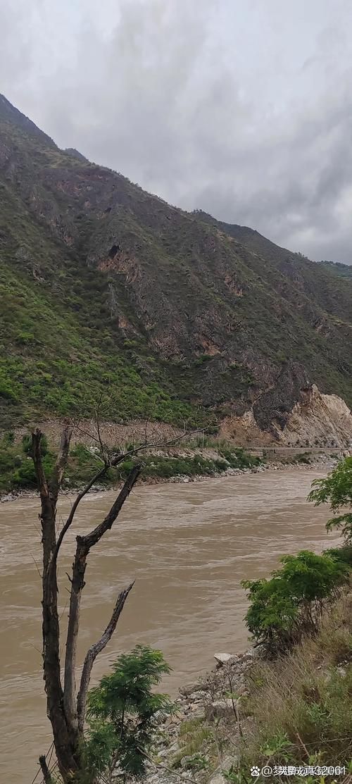 鹿寨：喀斯特地貌下的疫情防波堤
