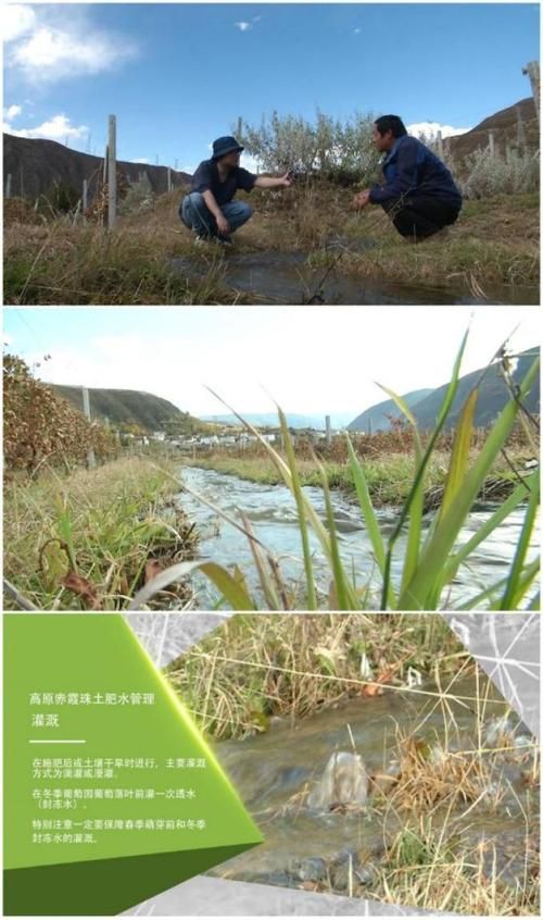 高原小城防疫样本：乡城零感染背后的地理屏障与社区网格