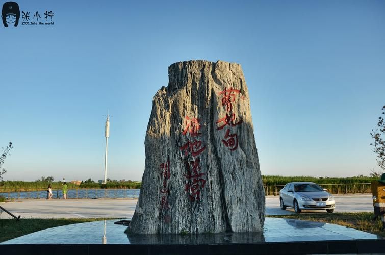 唐海县：滨海湿地的防疫屏障与破防时刻_40290