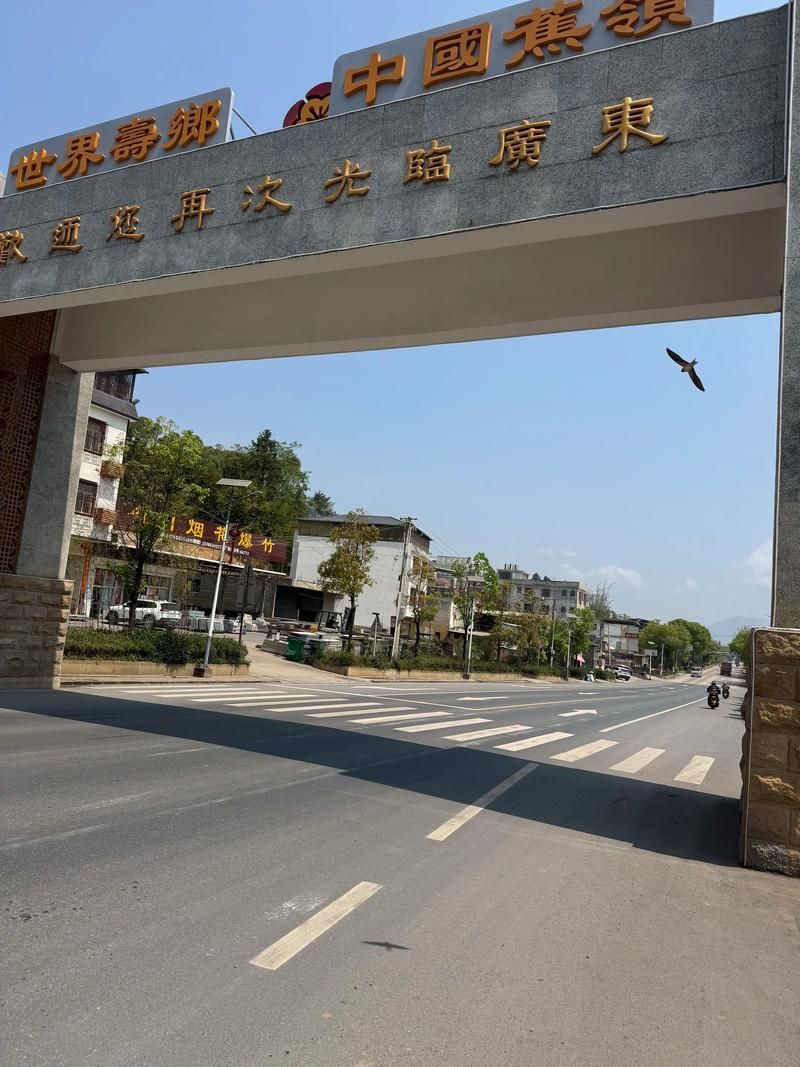 蕉岭：粤东生态屏障下的零感染坚守_29118