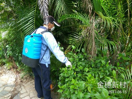 定安县新增1例无症状感染者  定安县疫情防控最新通报_64322