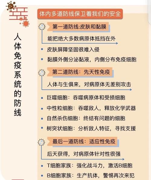 高原屏障下的零感染坚守：巴中地理优势与防疫逻辑