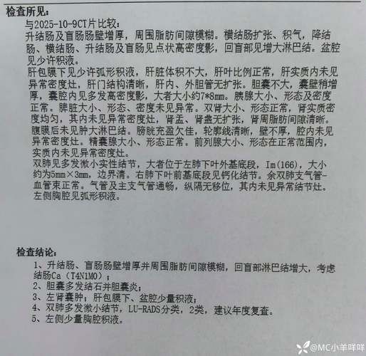 2022年11月28日孟连县新增确诊病例情况