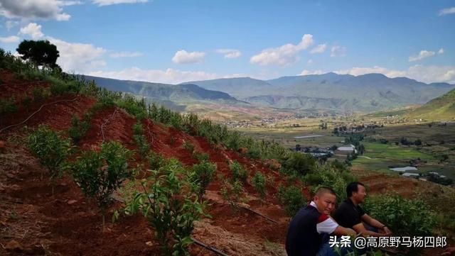 宾川：高原坝区的疫情防线与防控逻辑