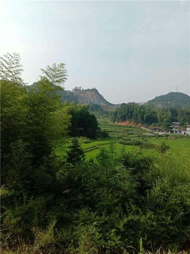 平江：湘北山城如何构筑疫情防线？_76544