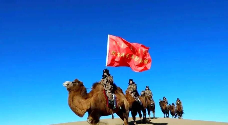 【阿拉善盟：戈壁屏障下的疫情防线与破防时刻】